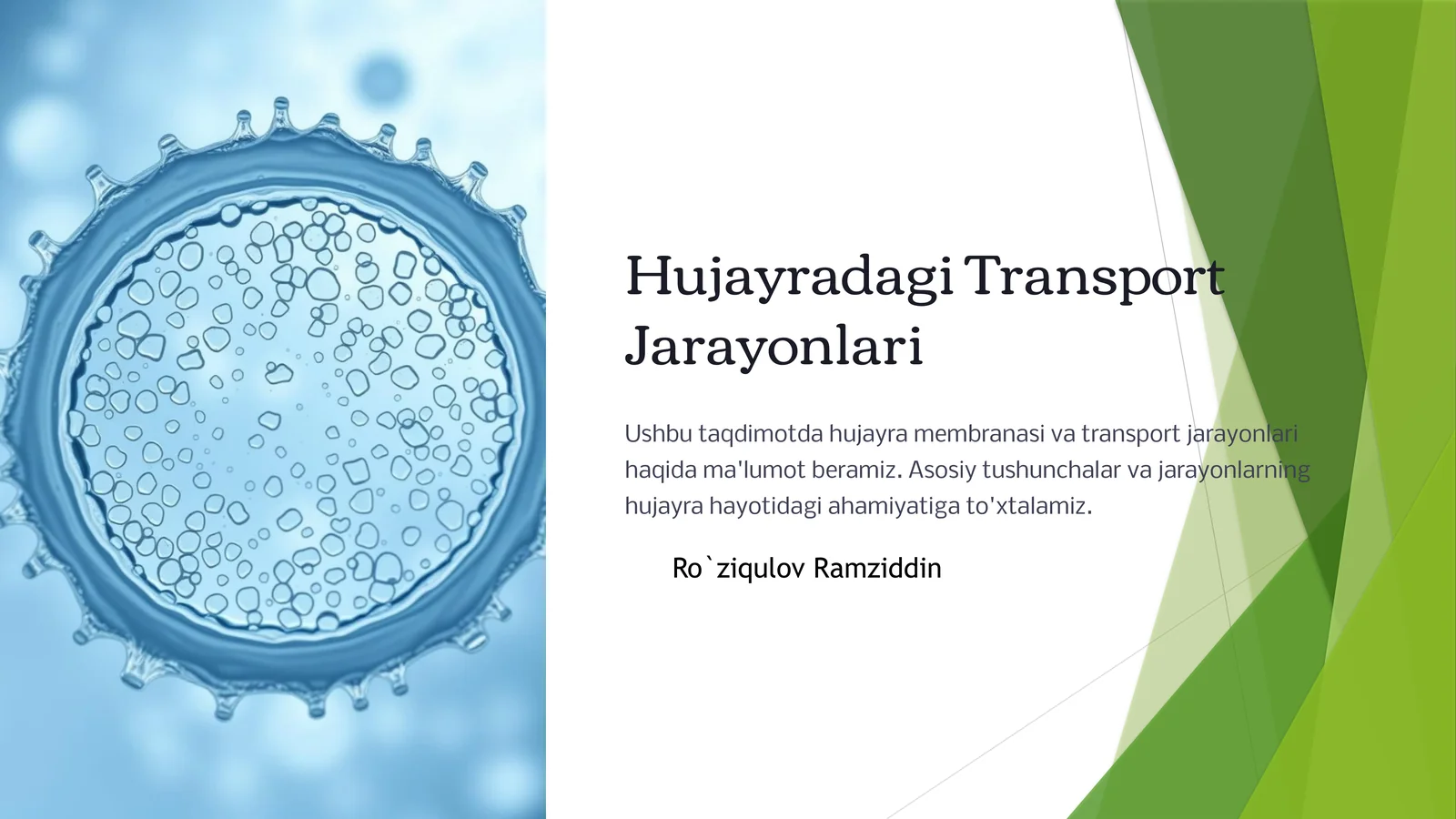 Hujayradagi Transport Jarayonlari