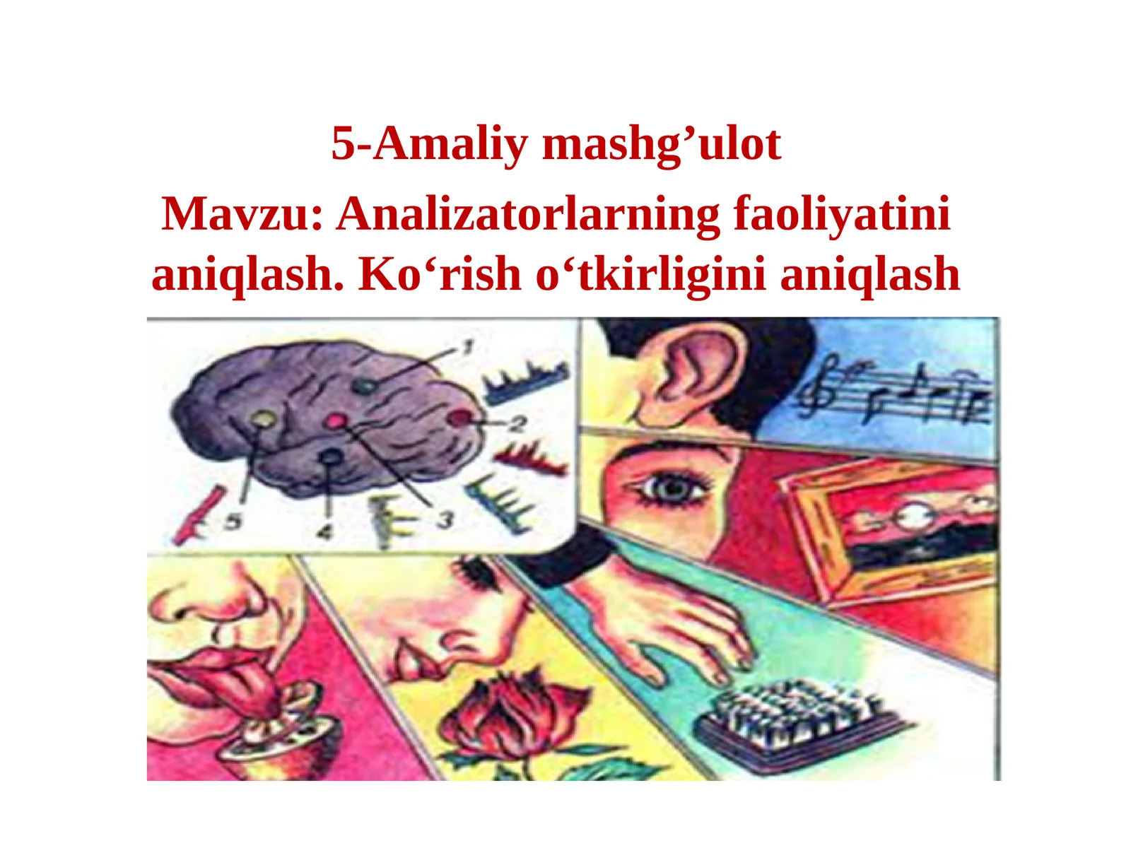 Analizatorlarning faoliyatinianiqlash. Ko‘rish o‘tkirliginianiqlash