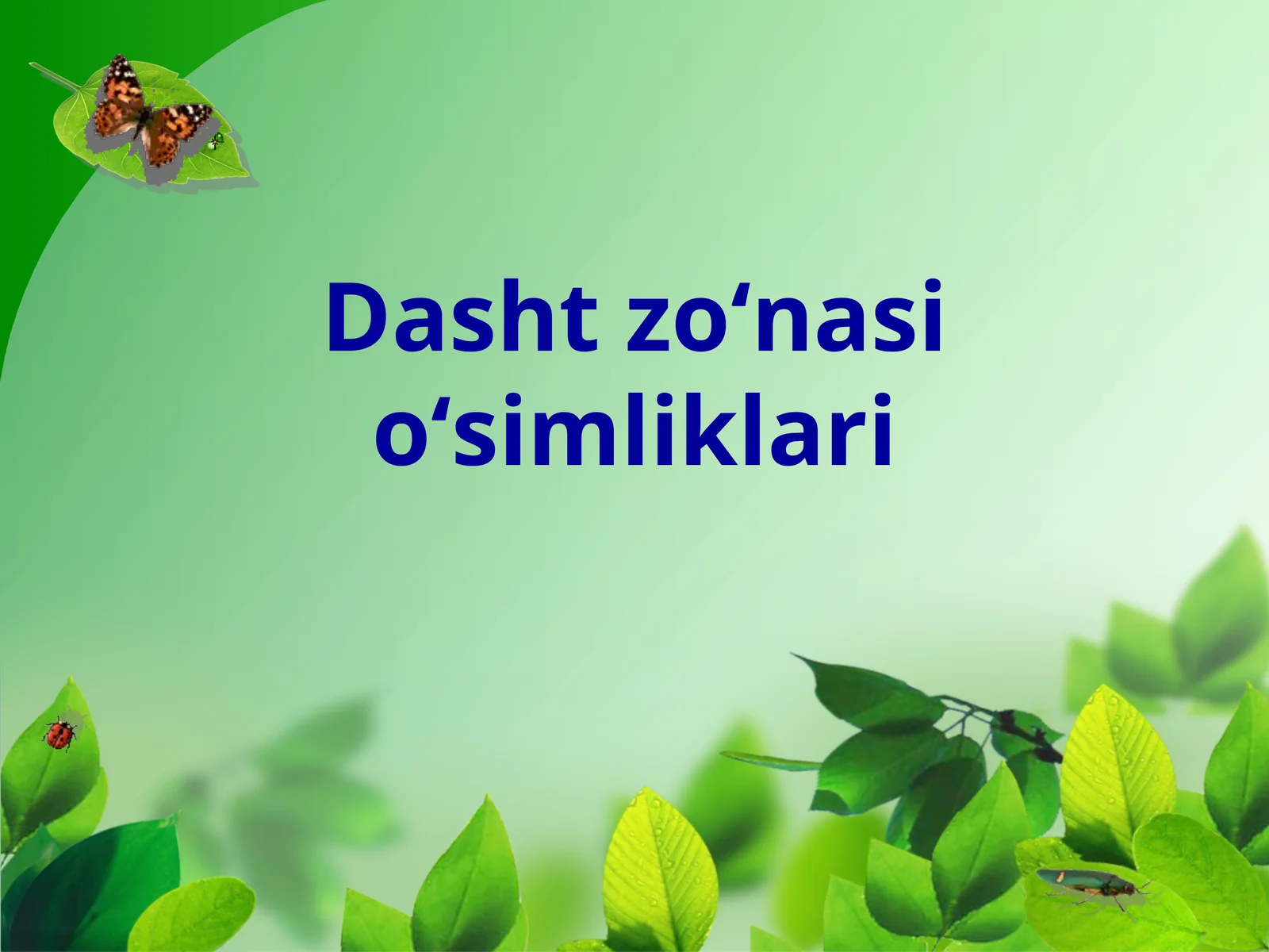 Dasht zoʻnasi oʻsimliklari