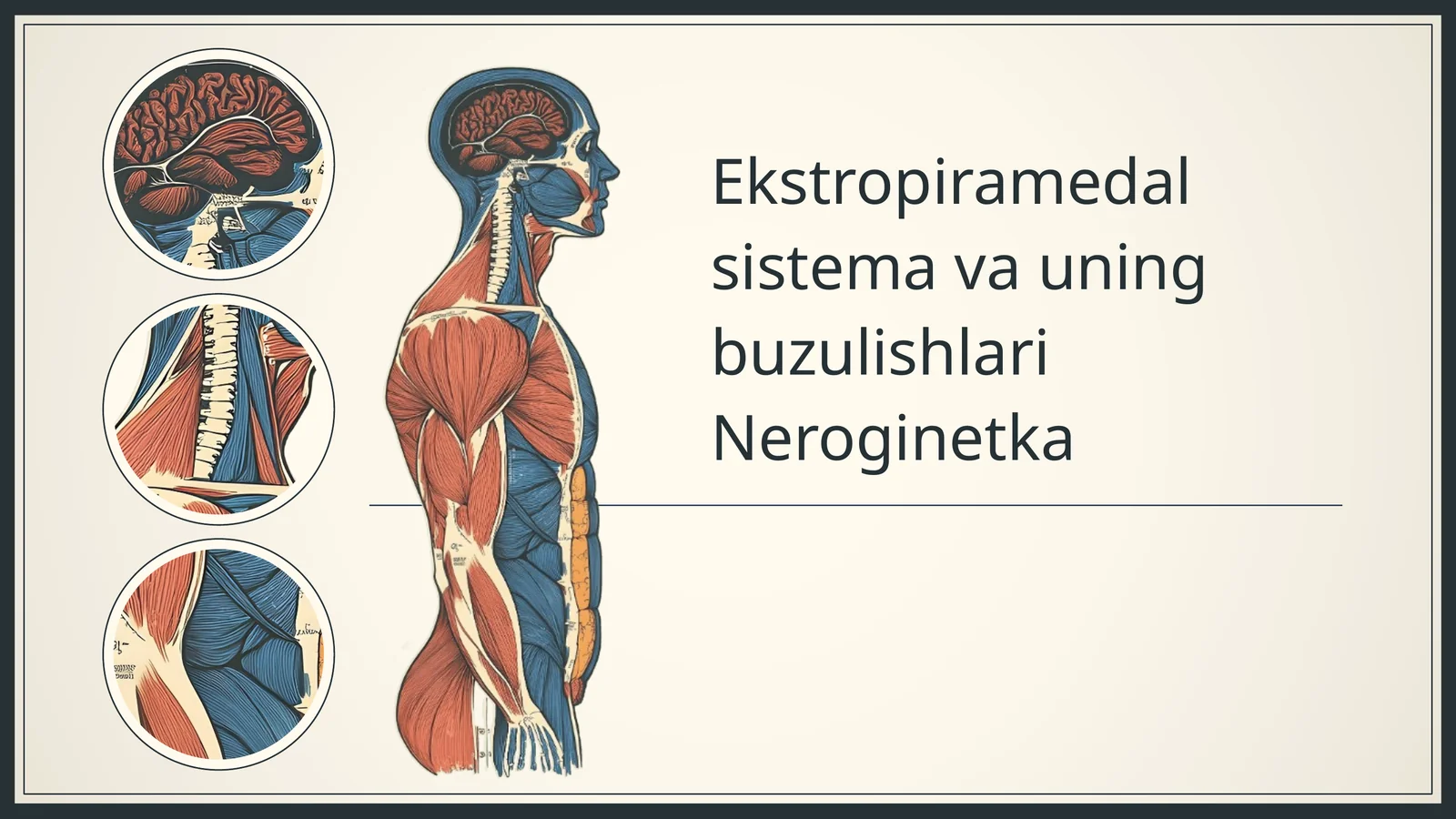 Ekstropiramedal sistema va uning buzulishlari Neroginetka