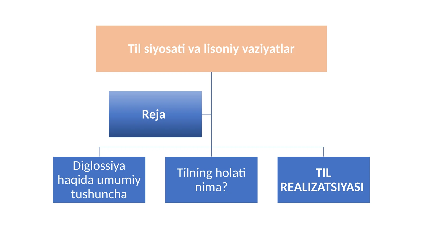 Narsaketidanso‘zlarkeladi
