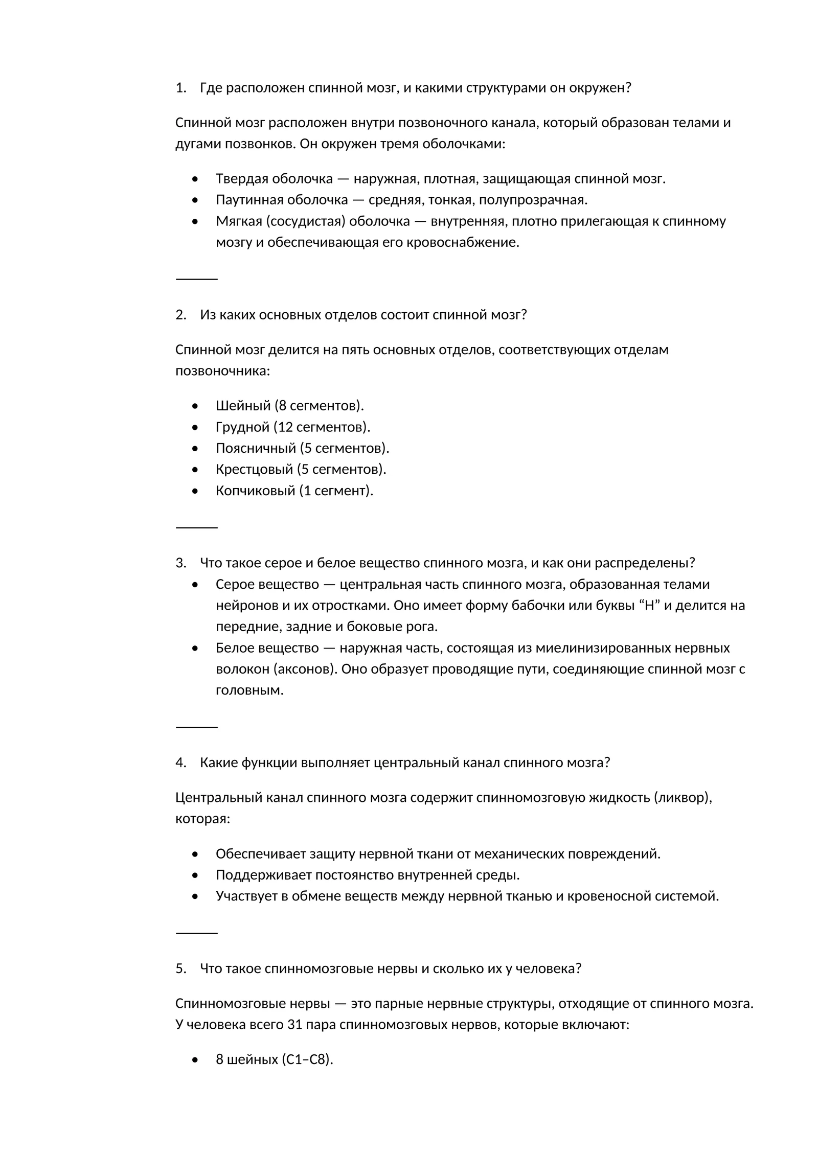 Спинной мозг