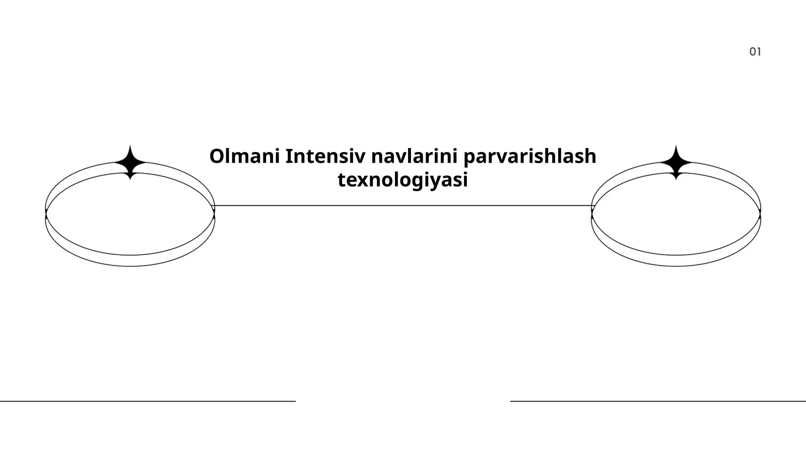 Olmani Intensiv navlarini parvarishlash texnologiyasi