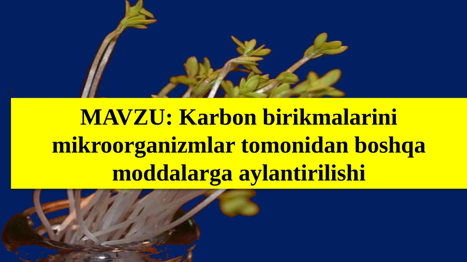 Karbonbirikmalarinimikroorganizmlartomonidanboshqamoddalargaaylantirilishi