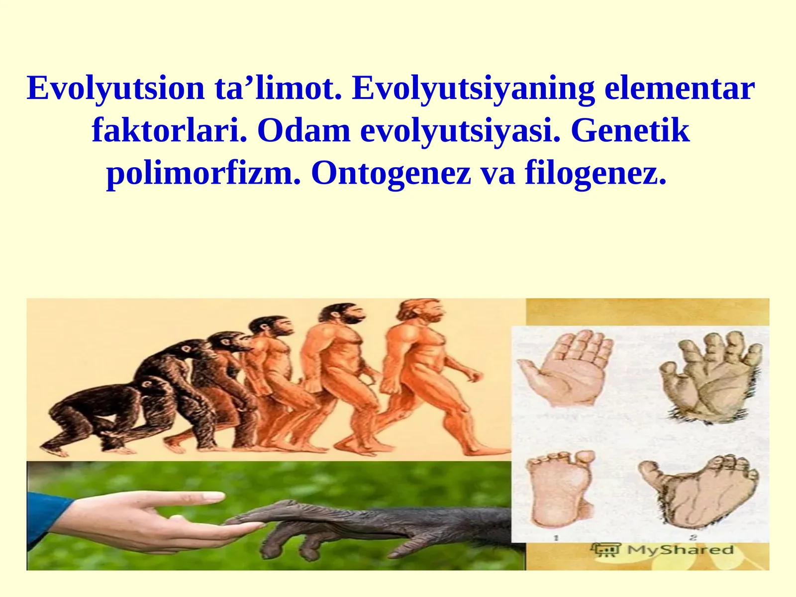 Evolyutsion ta’limot. Evolyutsiyaning elementar faktorlari. Odam evolyutsiyasi. Genetik polimorfizm. Ontogenez va filogenez