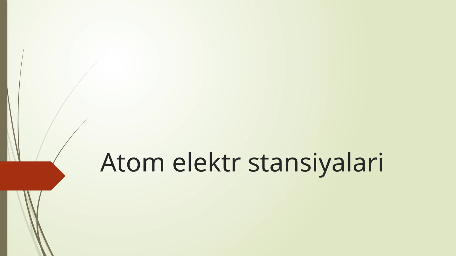 Atom elektr stansiyalari