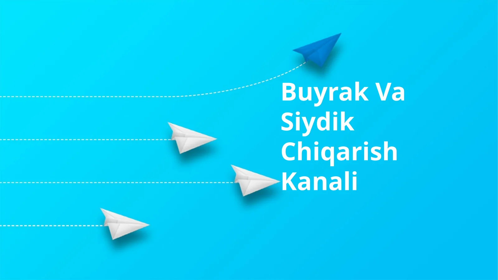 Buyrak Va Siydik Chiqarish Kanali