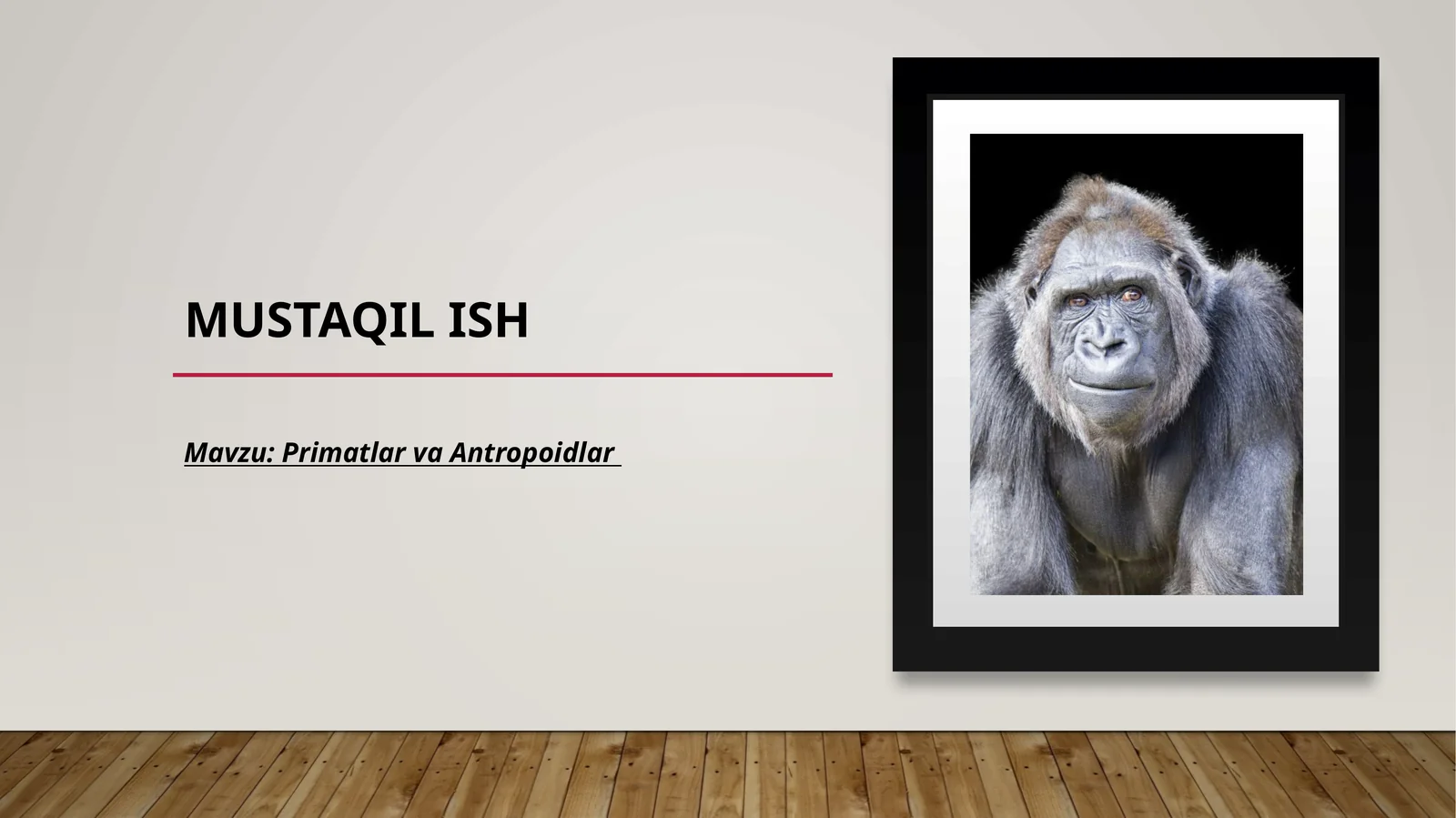 Primatlar va Antropoidlar