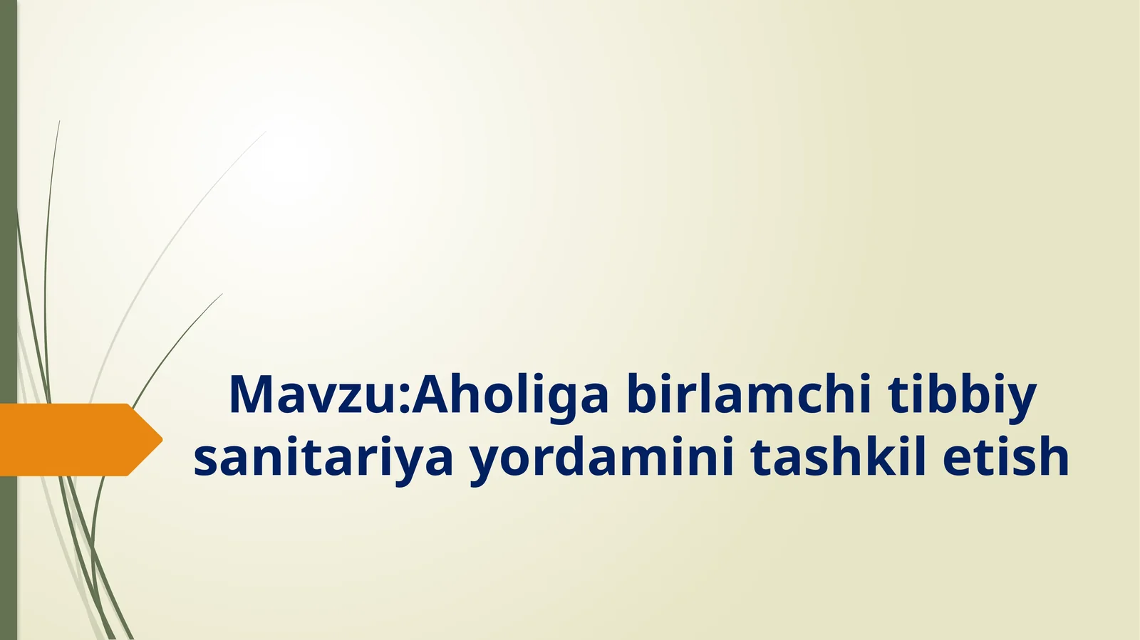 Aholigabirlamchitibbiysanitariyayordaminitashkiletish