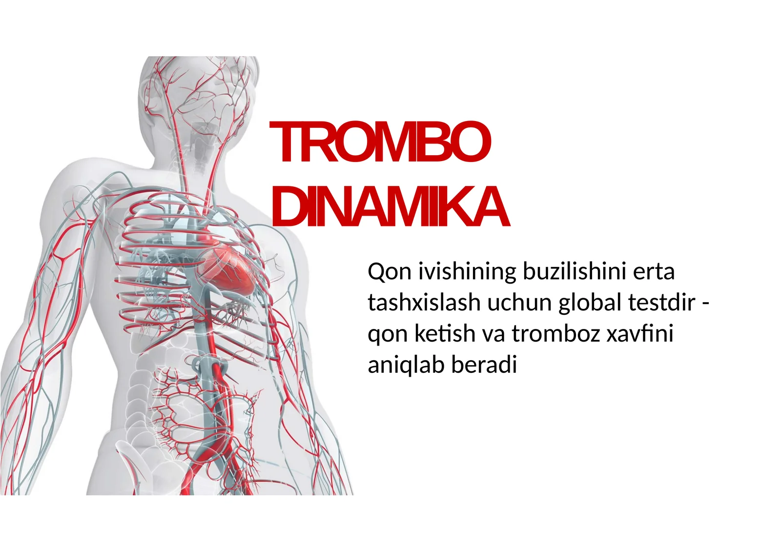 TROMBODINAMIKA