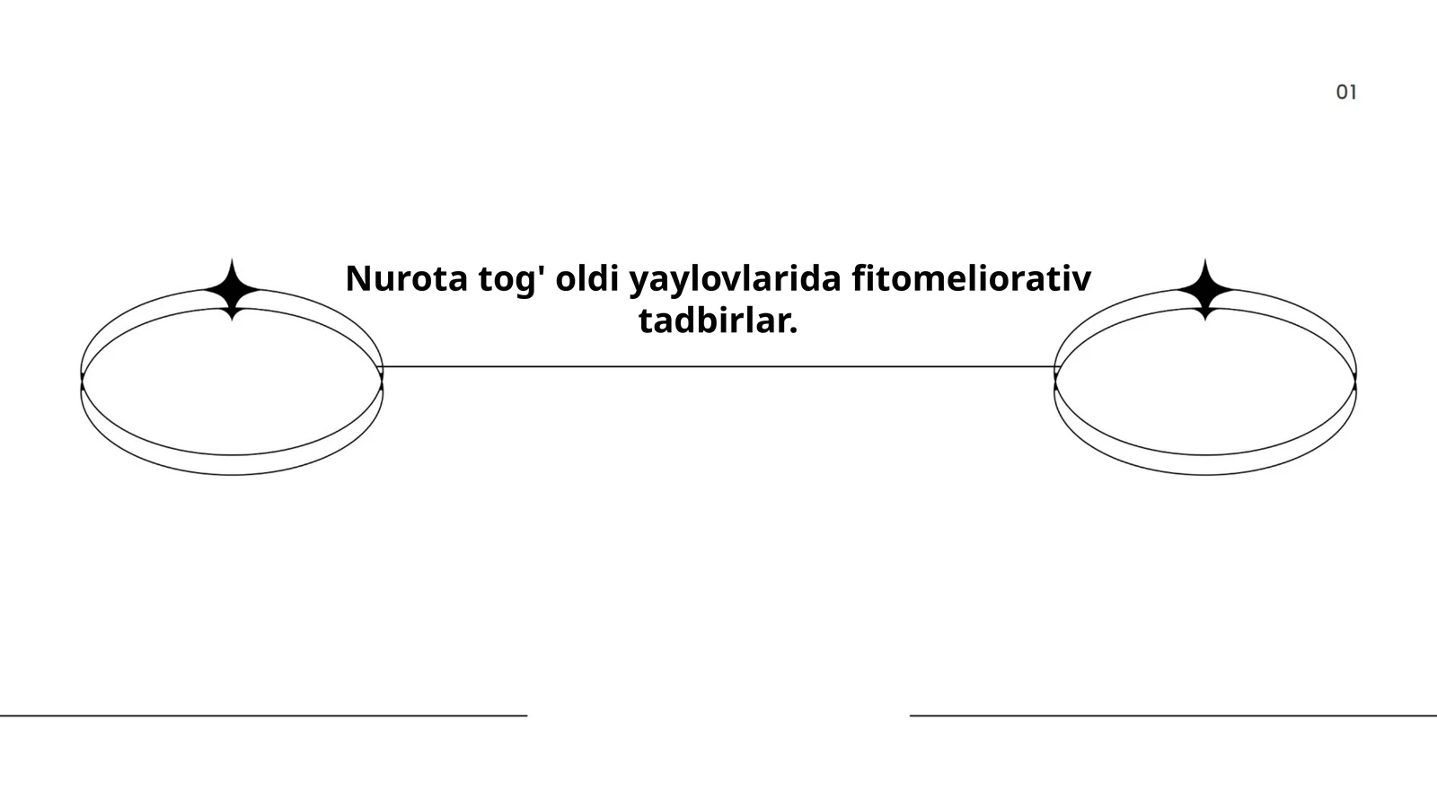 Nurota tog' oldi yaylovlarida fitomeliorativ tadbirlar
