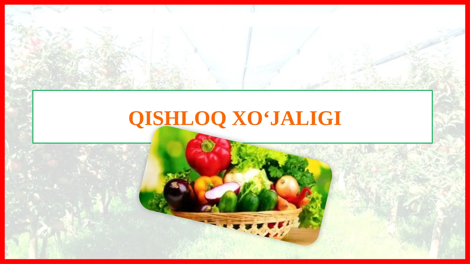 QISHLOQ XO‘JALIGI