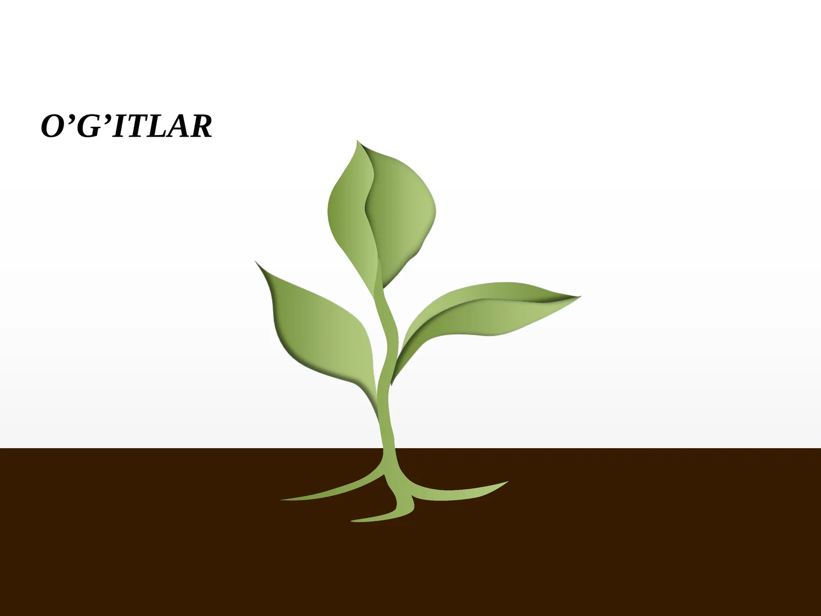 O’G’ITLAR