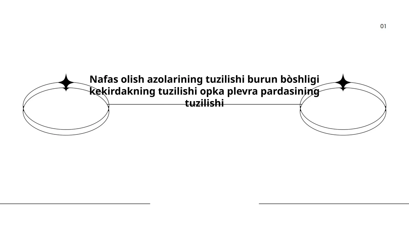 Nafas olish azolarining tuzilishi burun bòshligi kekirdakning tuzilishi opka plevra pardasining tuzilishi
