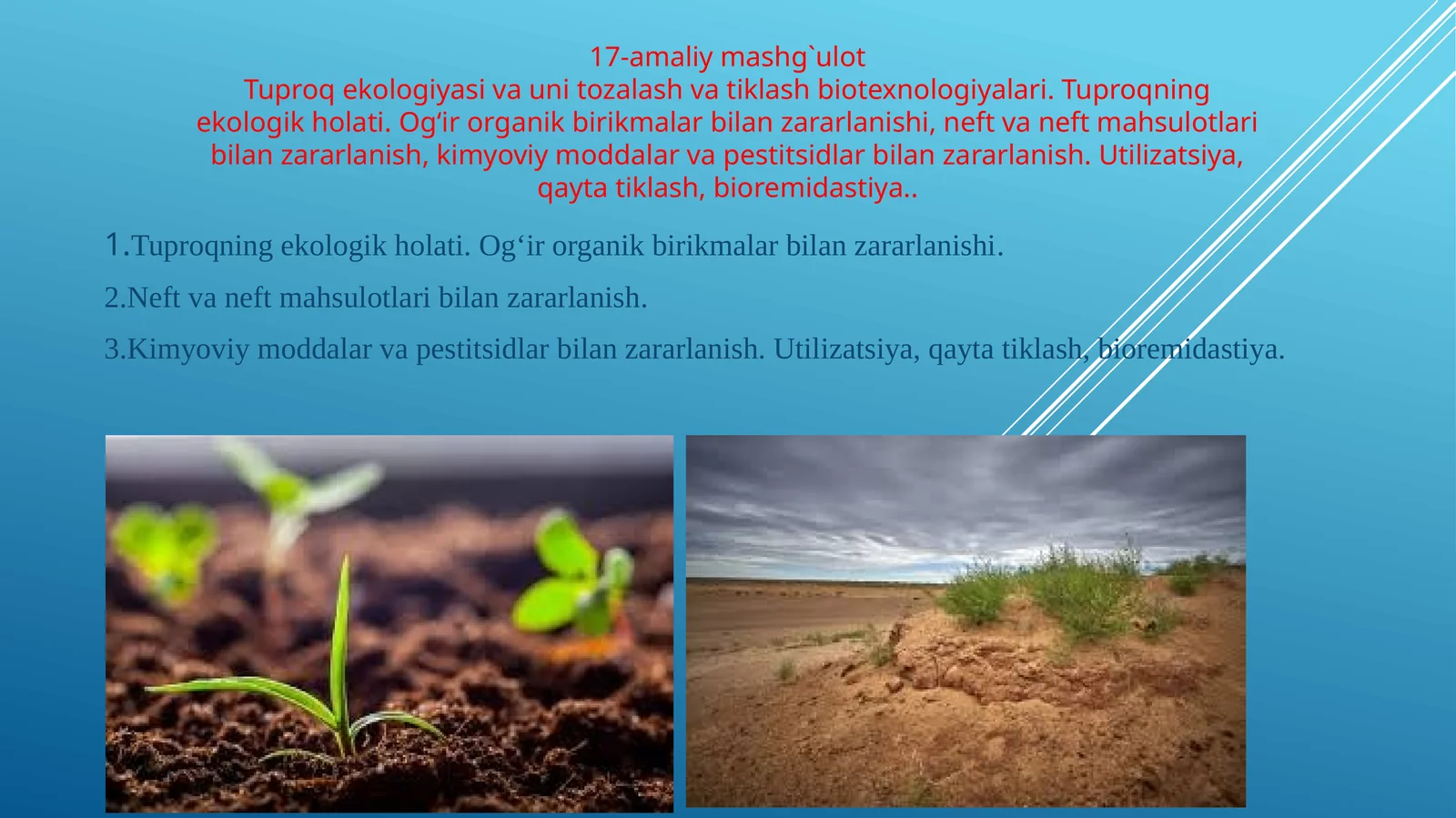 Tuproq ekologiyasi va uni tozalash va tiklash biotexnologiyalari