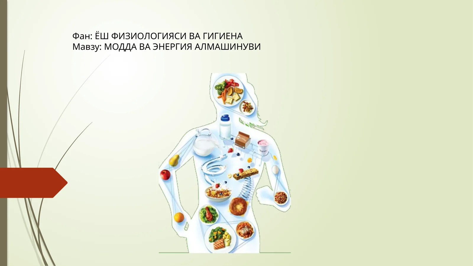 ЁШ ФИЗИОЛОГИЯСИ ВА ГИГИЕНА