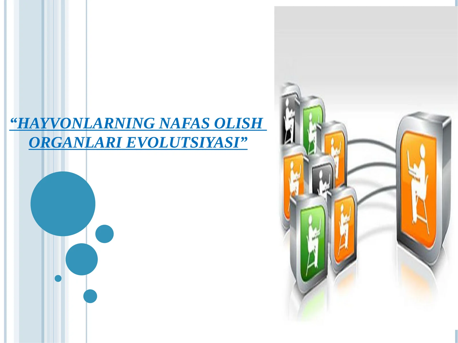 HAYVONLARNING NAFAS OLISH ORGANLARI EVOLUTSIYASI