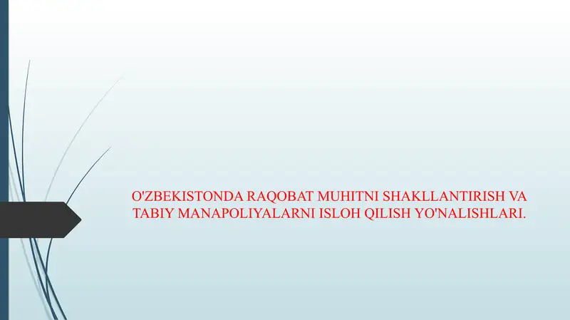 O'ZBEKISTONDA RAQOBAT MUHITNI SHAKLLANTIRISH VA TABIY MANAPOLIYALARNI ISLOH QILISH YO'NALISHLARI.