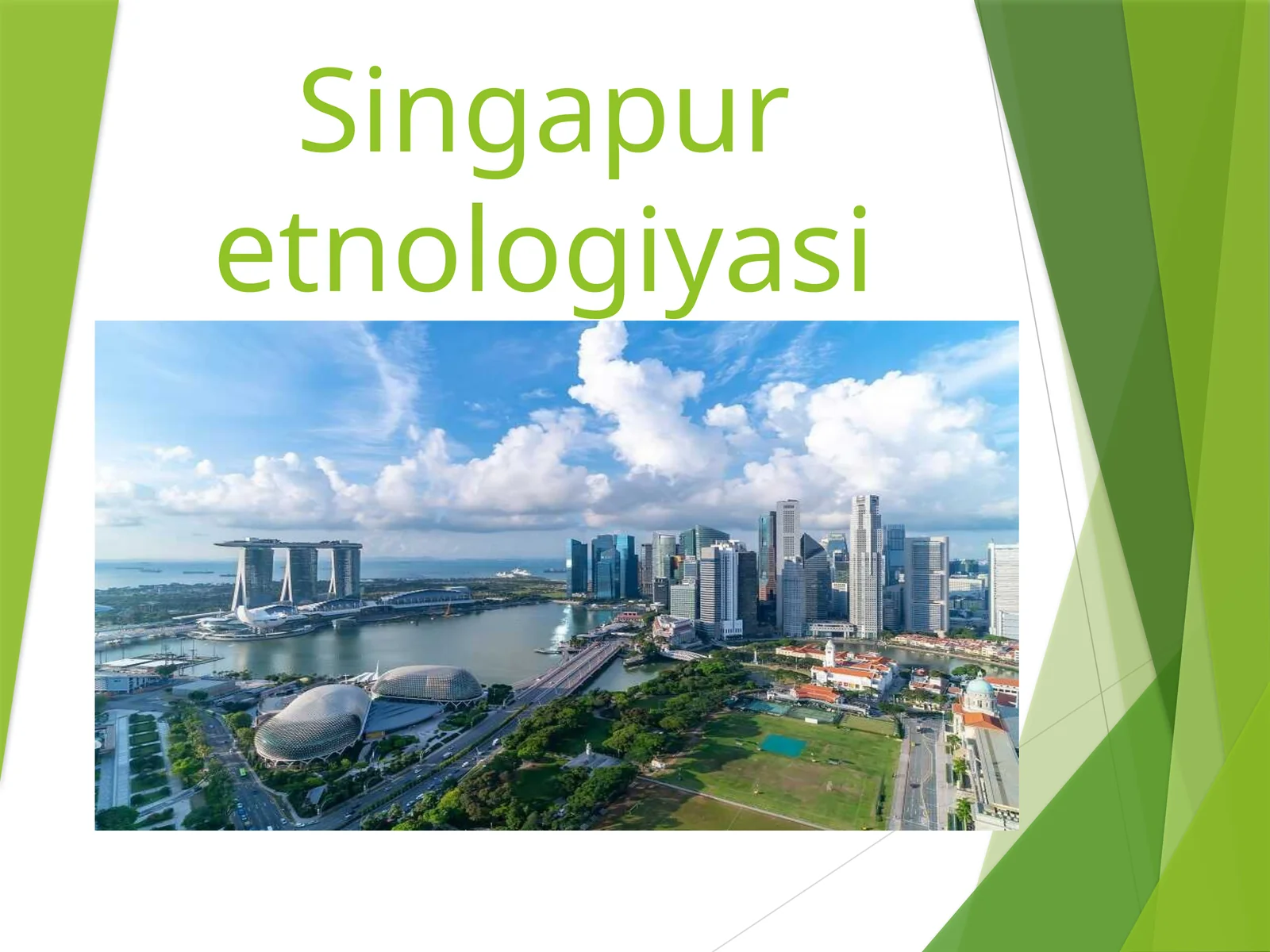 Singapur etnologiyasi