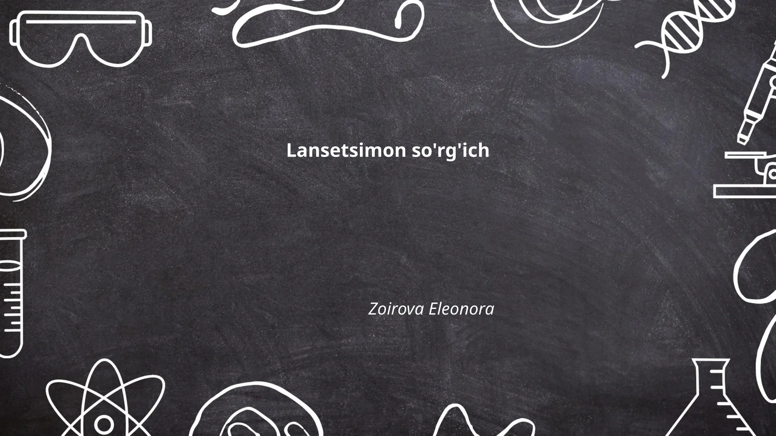 Lansetsimon so'rg'ich