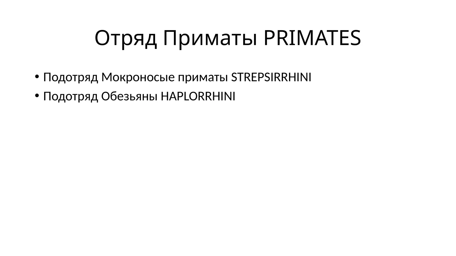 Отряд Приматы PRIMATES