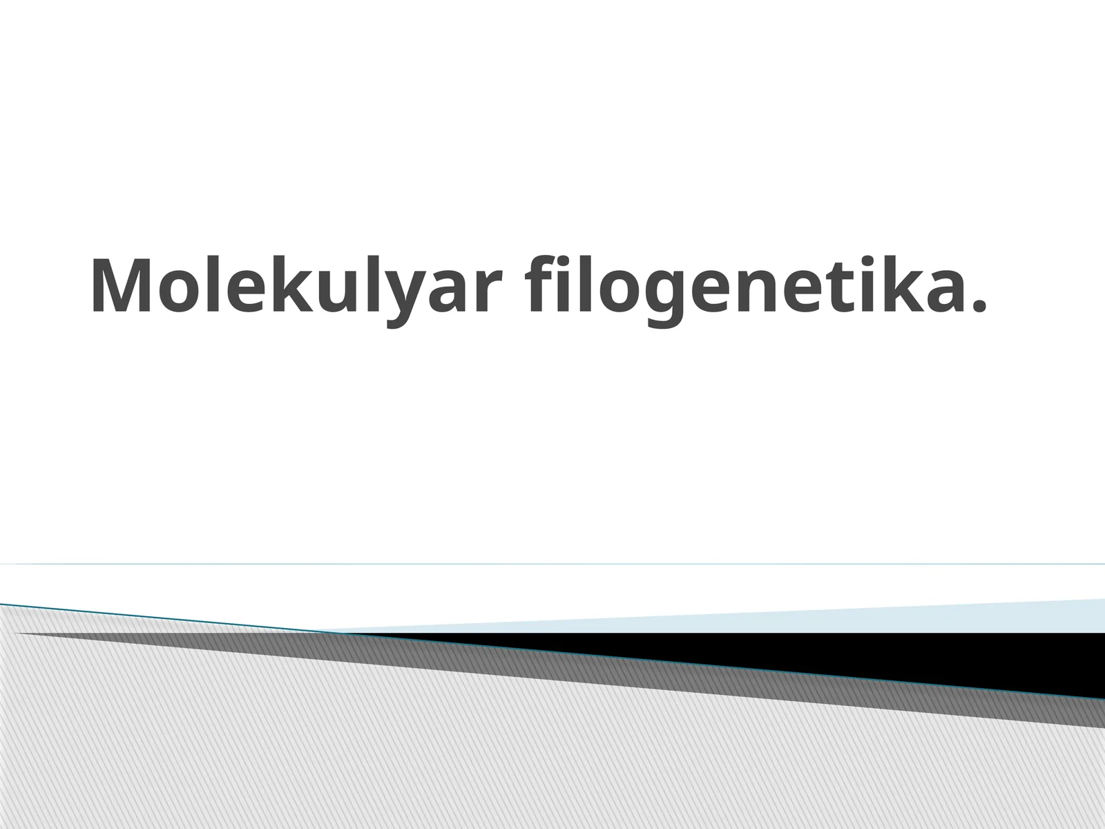 Molekulyar filogenetika