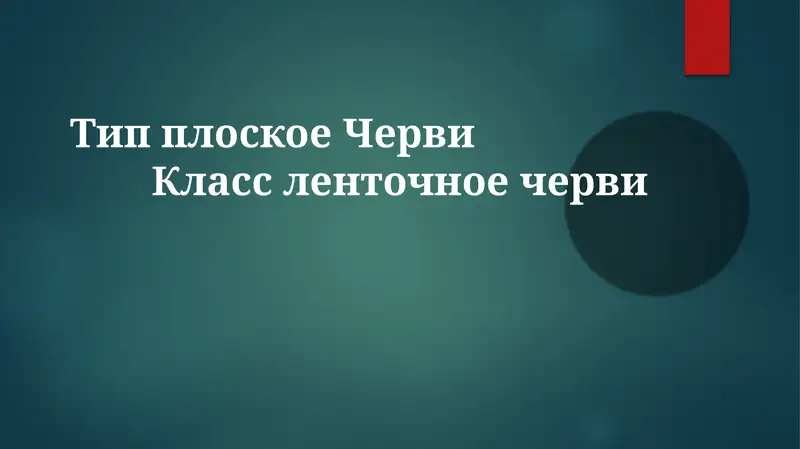 Морфология и физиология ленточных червей