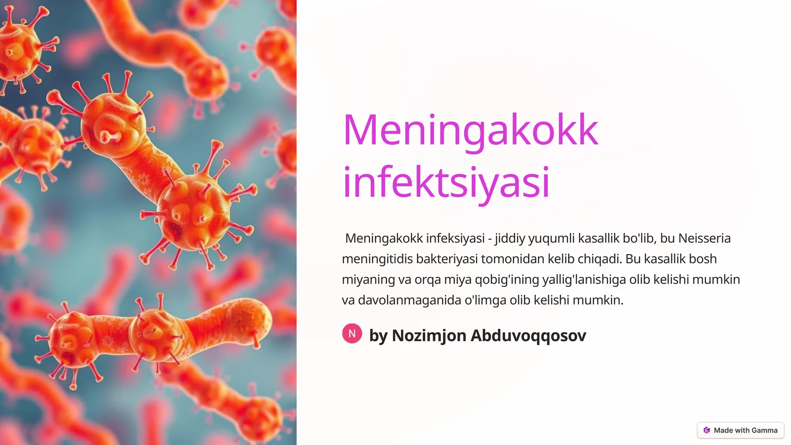 Meningakokk infektsiyasi