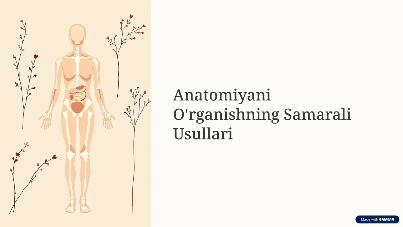Anatomiyani O'rganishning Samarali Usullari