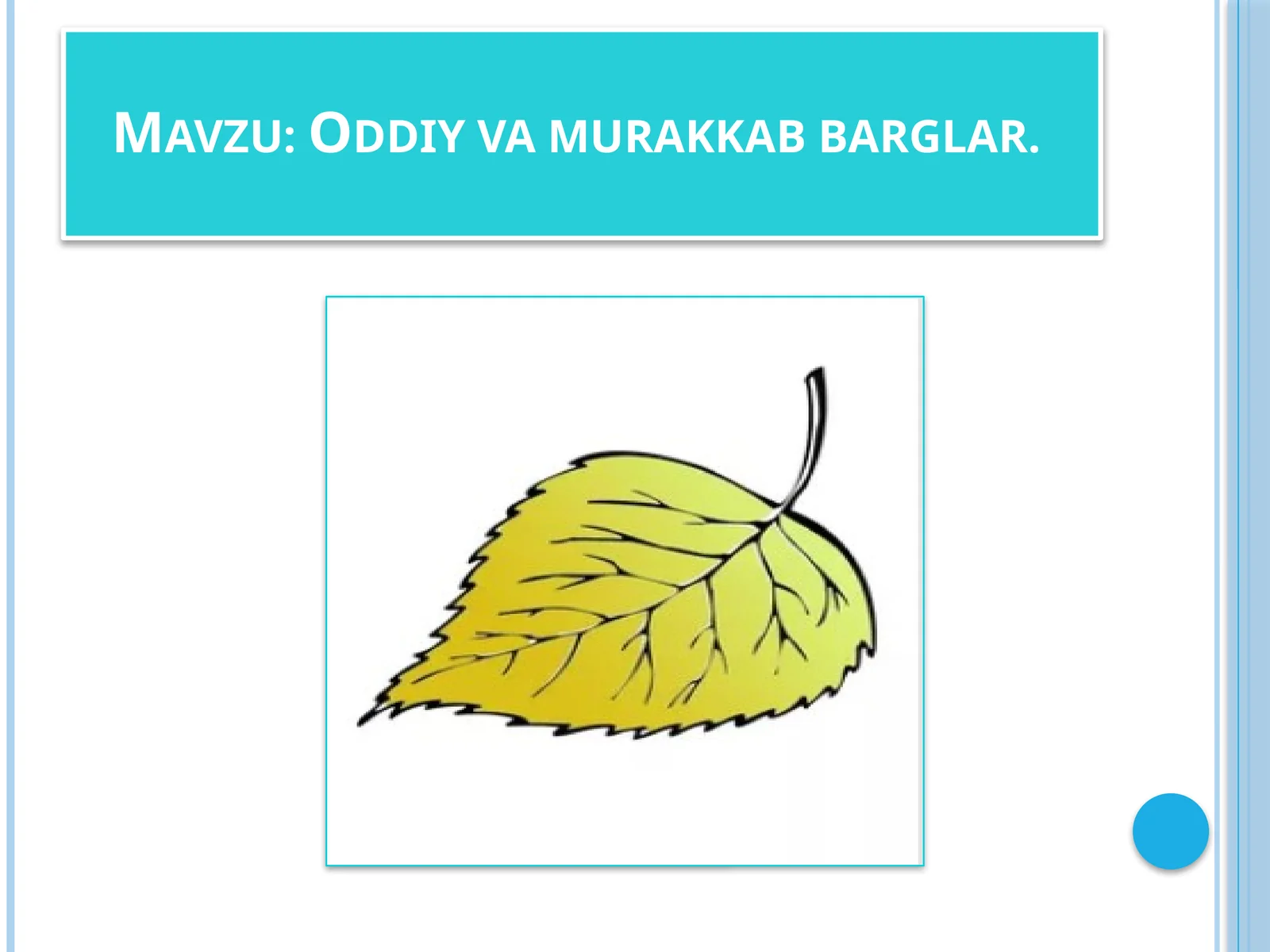 Oddiyvamurakkabbarglar
