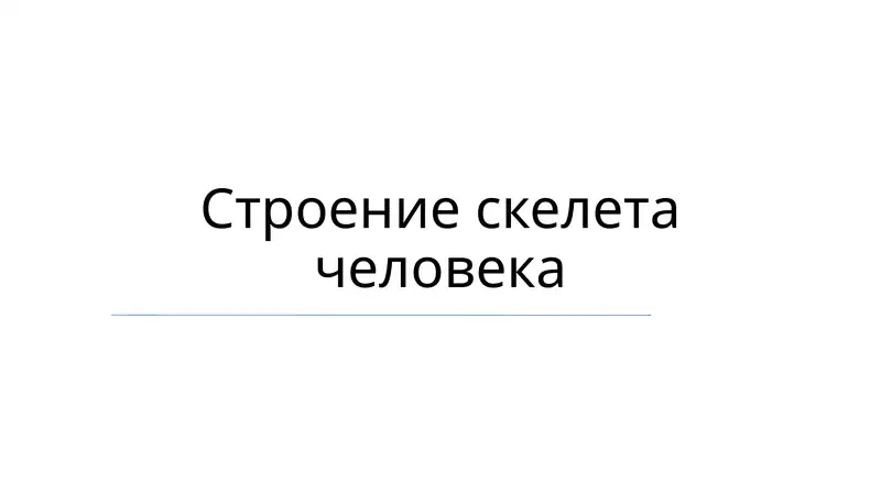 Пояс верхних конечностей