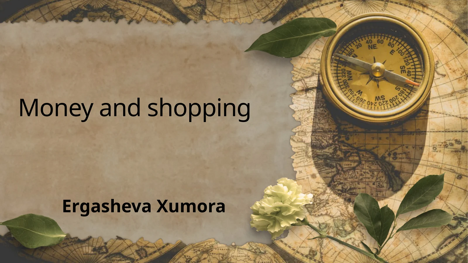 Money and shopping