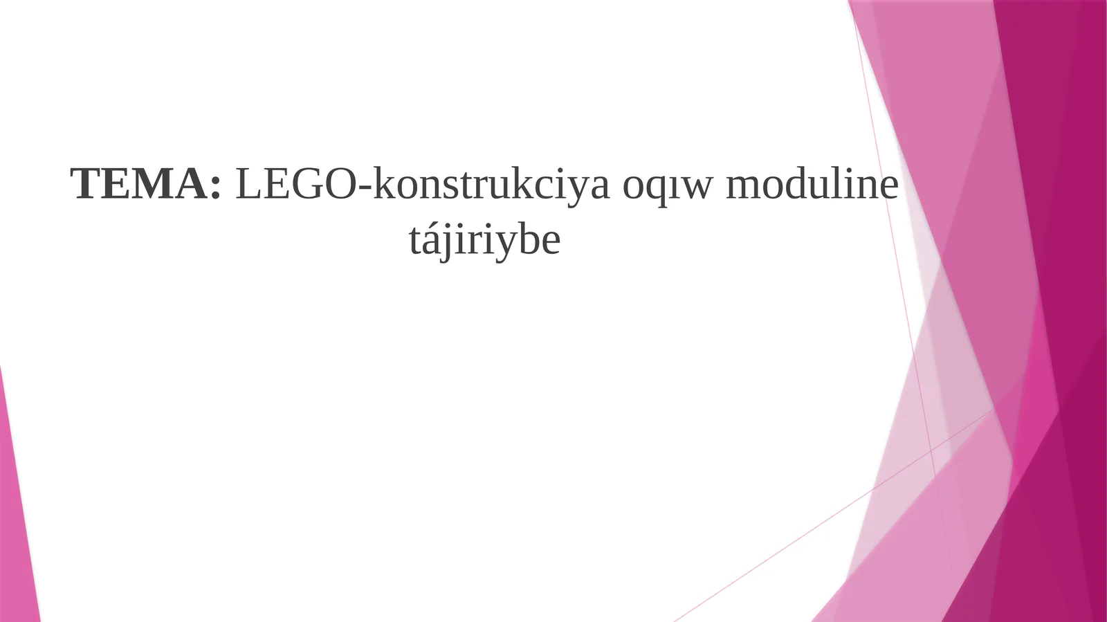 STEAM LEGO-konstrukciya