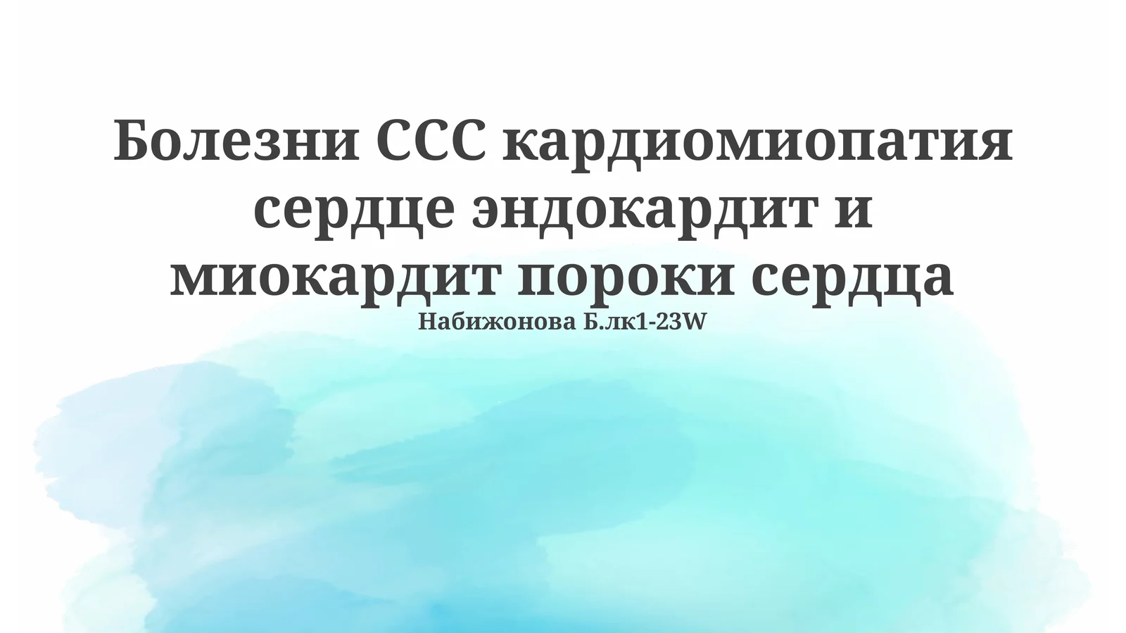 Набижонова Б.лк1-23W