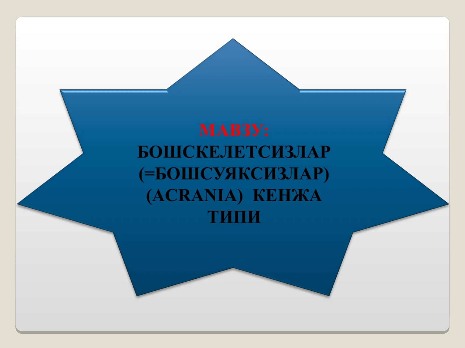 Бошскелетсизлар кенжа типининг умумий тавсифи