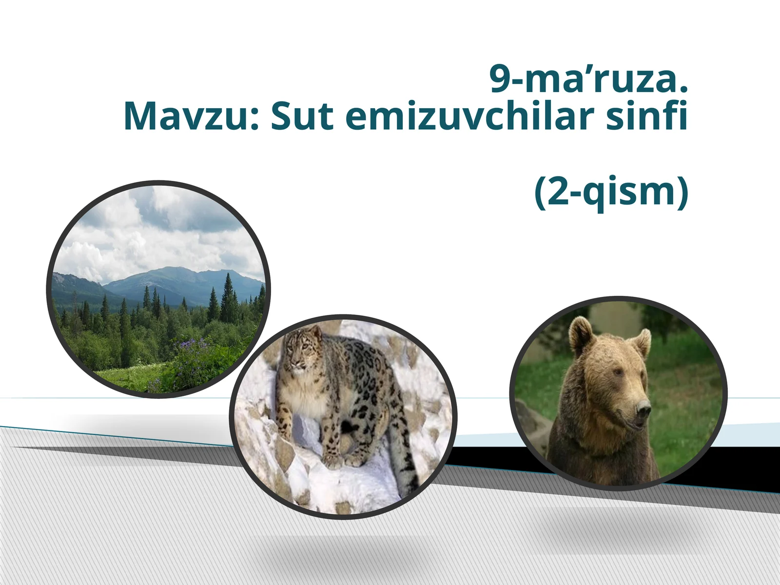 Sutemizuvchilarsinfi (2-qism)