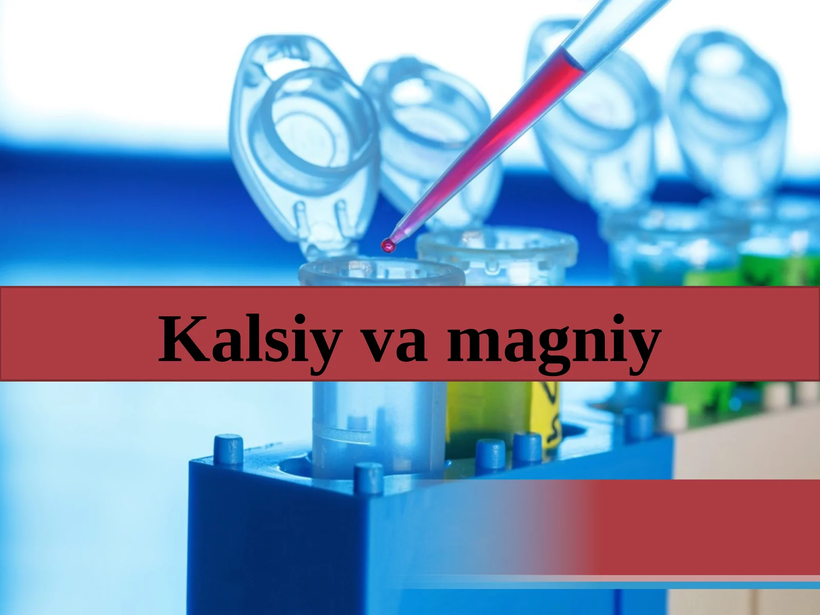 Kalsiy va magniy