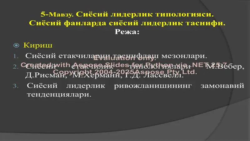 Siyosiy liderlik instituti