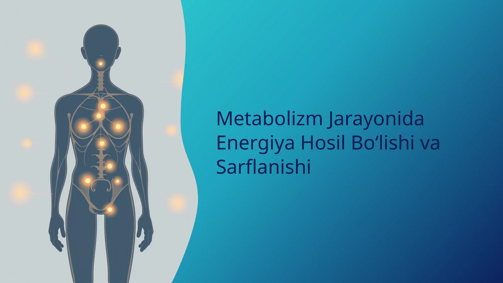 Metabolizm Jarayonida Energiya Hosil Bo‘lishi va Sarflanishi