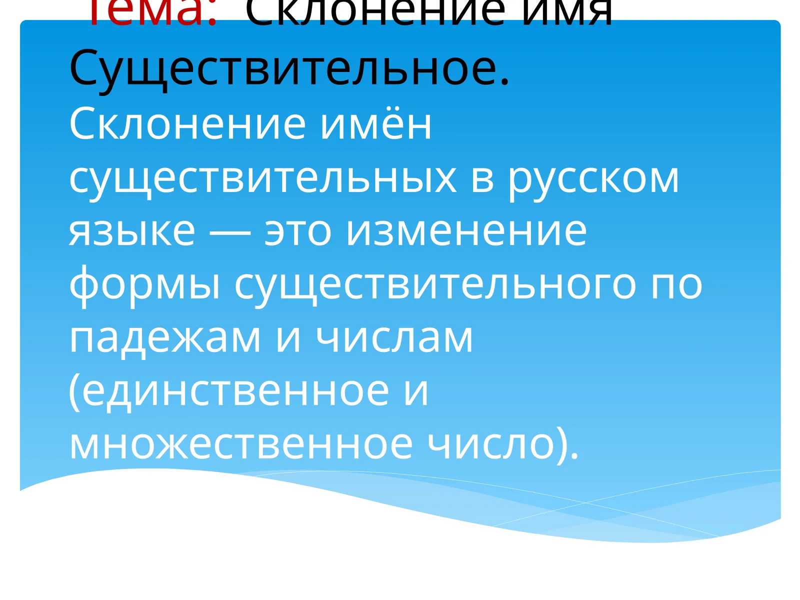 Склонение имён существительных в русском языке
