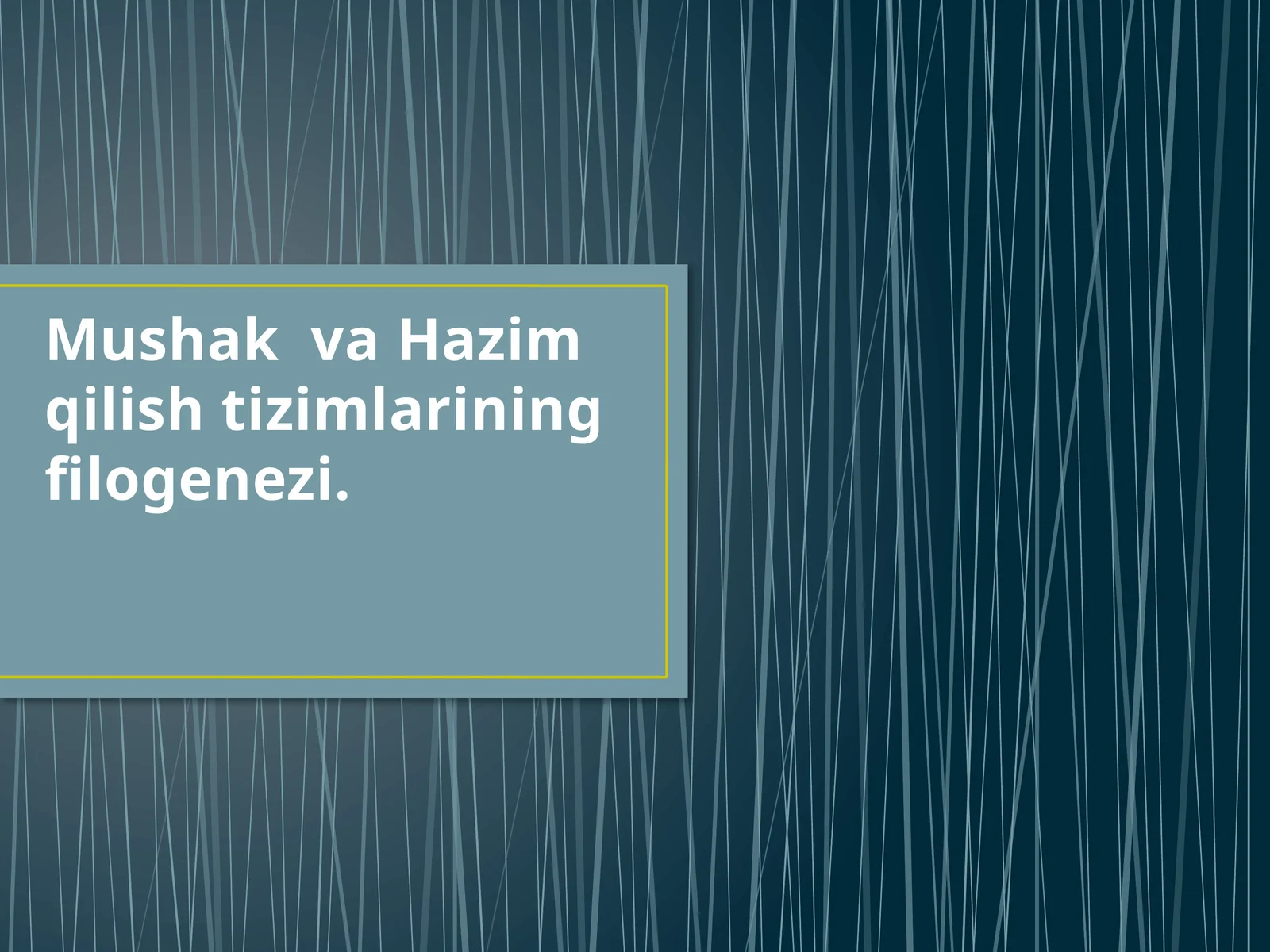 MushakvaHazimqilishtizimlariningfilogenezi
