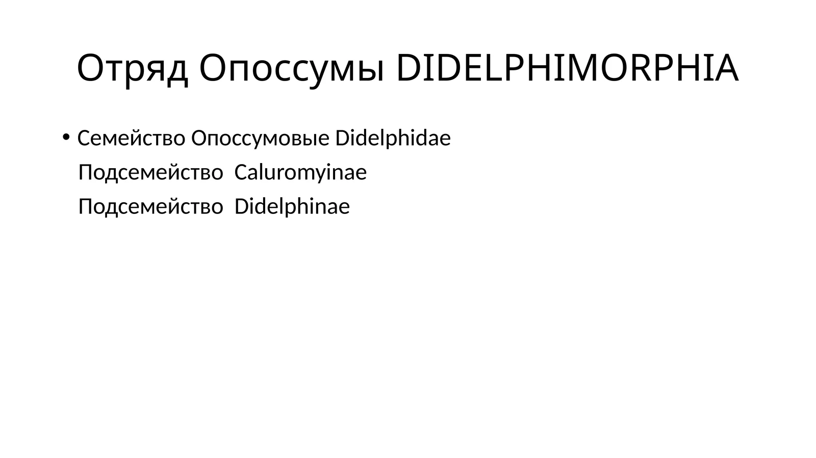 Опоссумлар