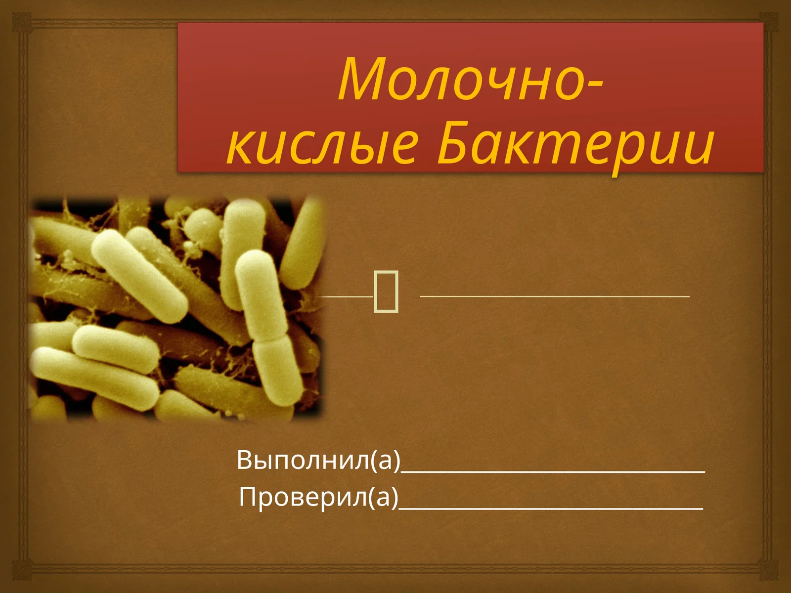 Молочнокислые бактерии