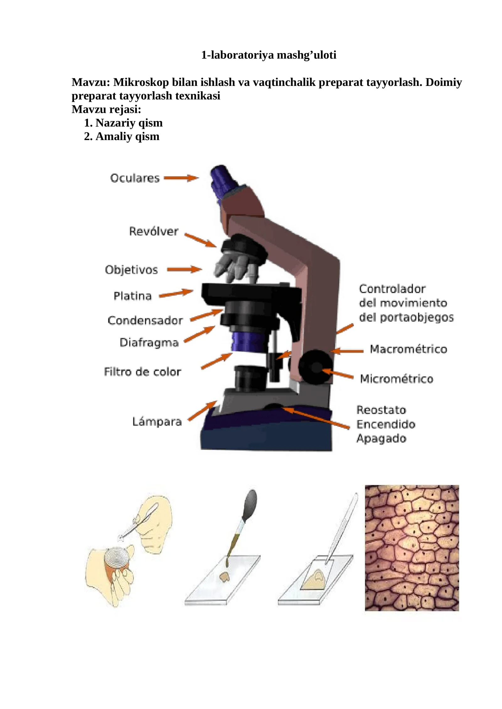 1-laboratoriya mashg’uloti