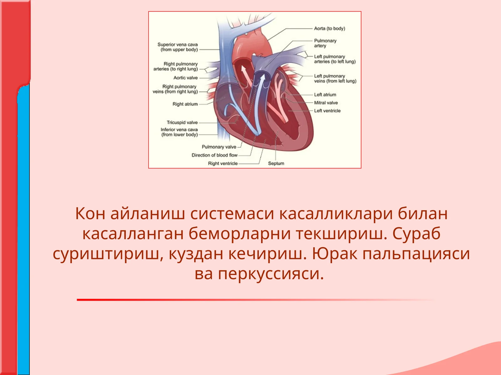 Кон айланиш системаси касалликлари билан касалланган беморларни текшириш