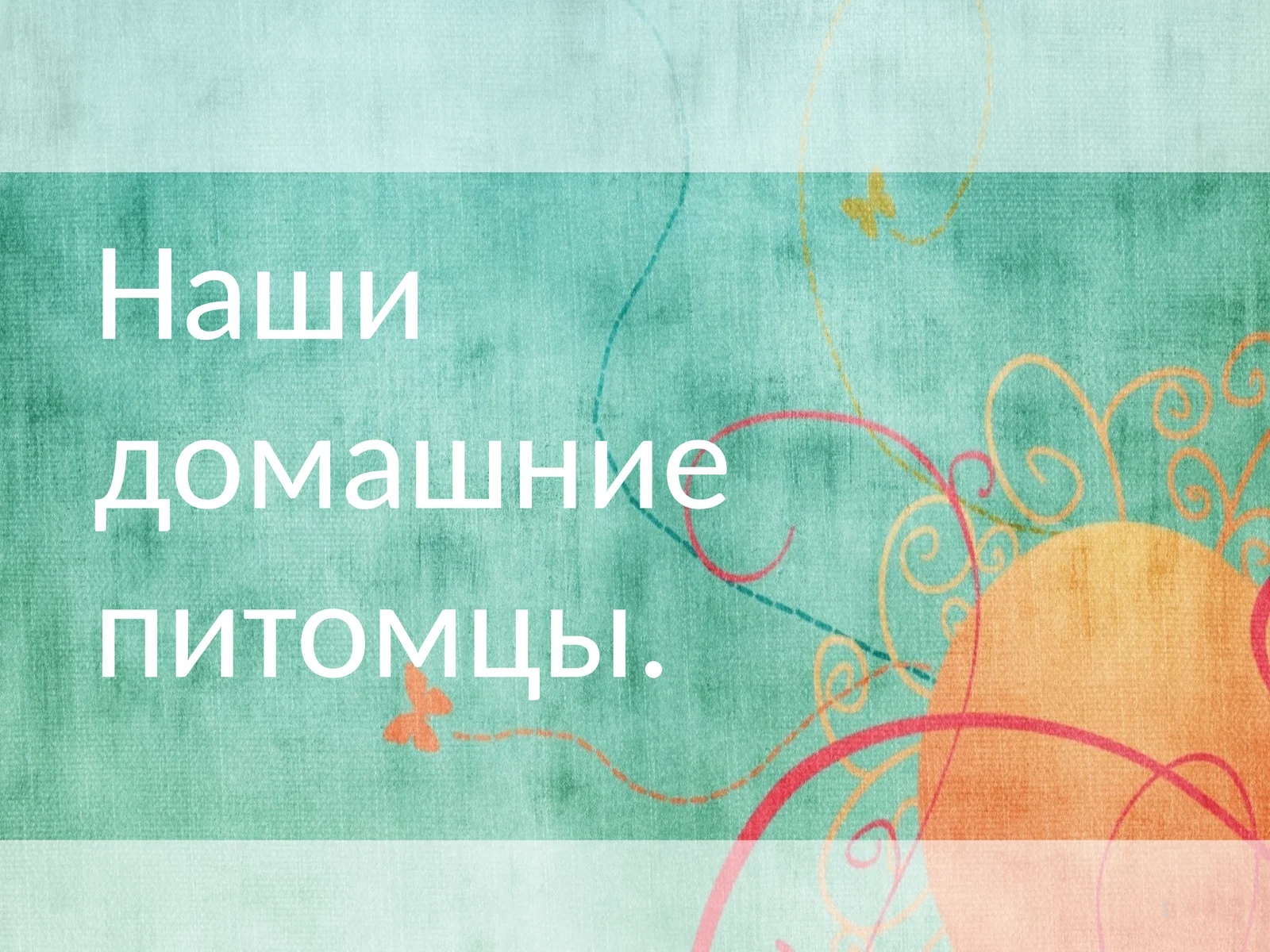Наши домашние питомцы