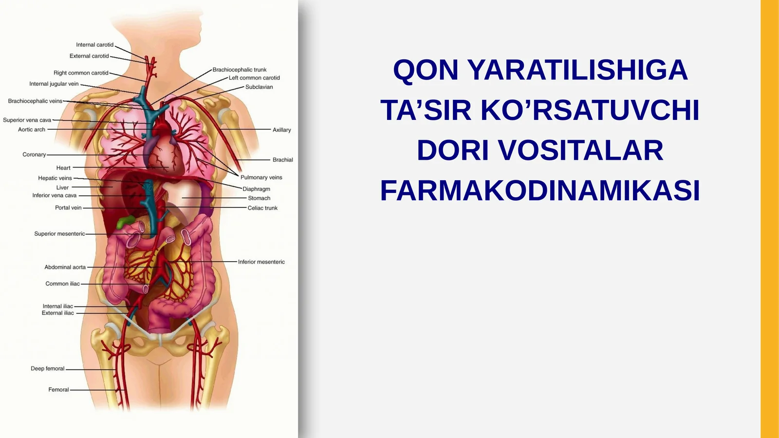 GЕMOPOEZGA TA'SIR ETUVCHI VOSITALAR