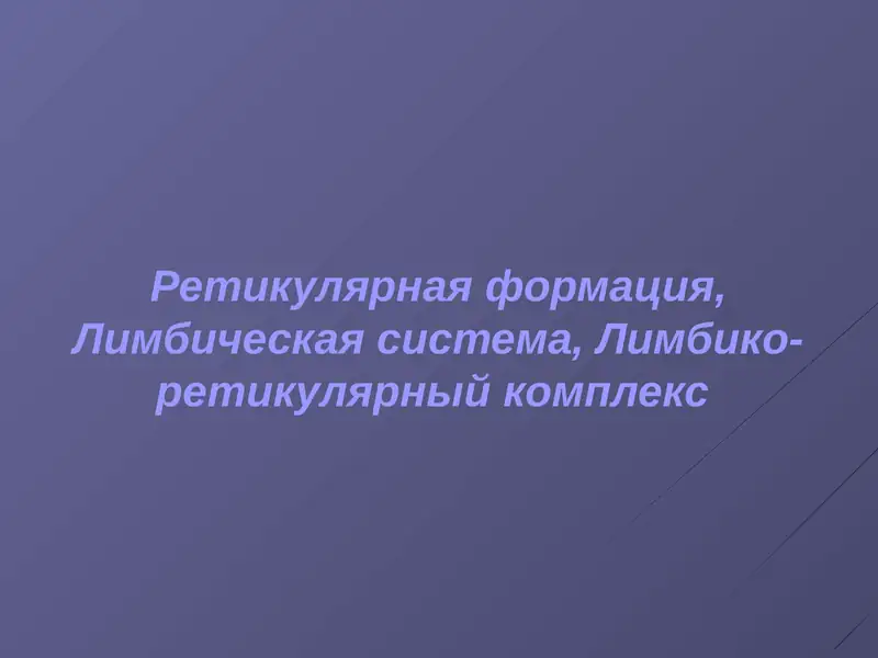 Ретикулярная формация