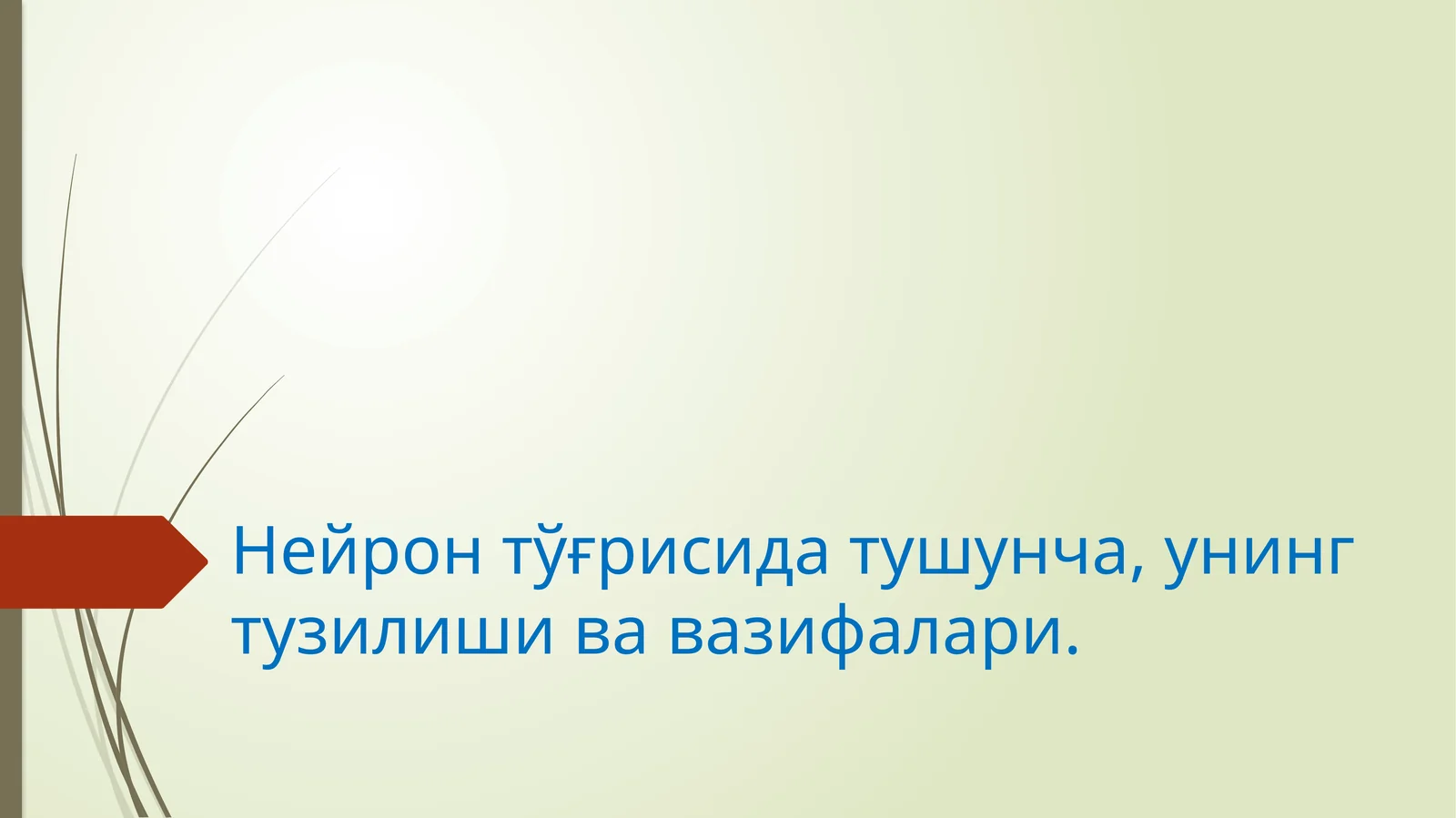 Нейрон тўғрисида тушунча, унинг тузилишива вазифалари