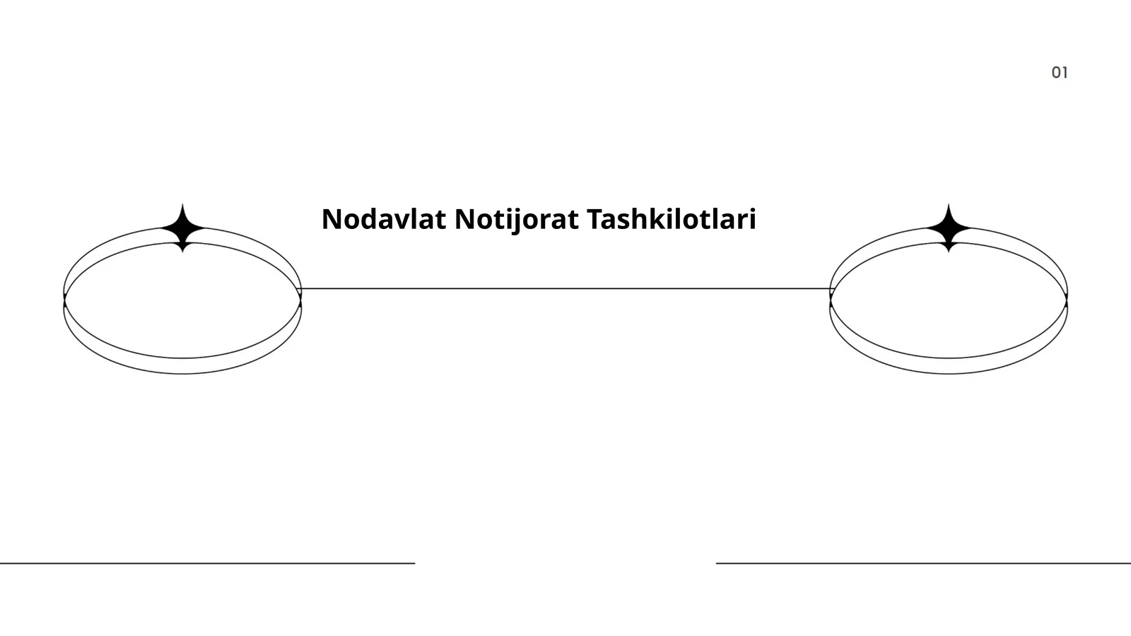 Nodavlat Notijorat Tashkilotlari